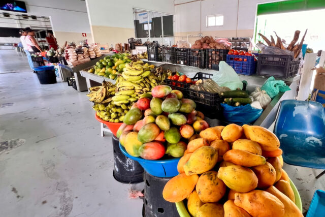 Espargos Municipal Market: real fruit, fresh fish, and the island unfiltered