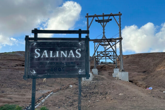 Boris Biedronka: low price, big personality, and an experience that won’t leave you neutral