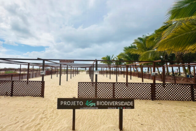 Projeto Biodiversidade: at 4:30 pm, the beach stops being just a beach