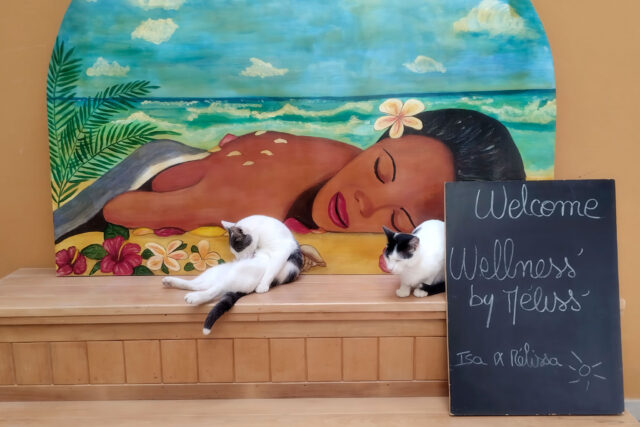 Wellness by Méliss’: quiet hands, steady pressure, and the feeling you chose well